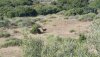 20180617_075040.jpg