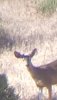 Screenshot_20180617-123202.jpg
