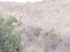 20180710_081453.jpg