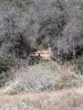 20180714_173721.jpg