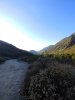 20180715_071152_resized_1 (1).jpg
