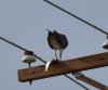 DSC_0899.JPG