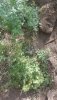 20180718_140255_001.jpg