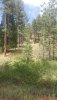 20180718_142830.jpg