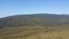 20180714_091840.jpg