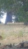 20180725_135321.jpg