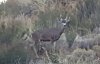 20161009_151230.jpg
