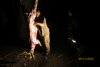 Marilyn's buck 2012 021.JPG