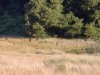 20180803_184350.jpg