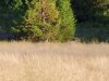 20180803_184800.jpg