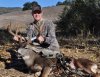 josh kettl giant deer.jpg