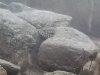 IMG_20180815_151744.jpg