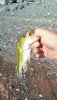 IMG_20180818_171854.jpg