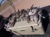 20180902_100415.jpg