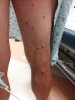 20180903_085448.jpg
