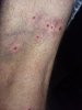 20180905_075018.jpg