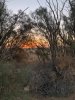 sunrise2.jpg