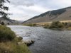 D3F794BD-8D73-4345-9F87-42708019CF34.jpeg