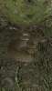 E94E98CD-A803-4544-9069-026EFADDF0FF.png
