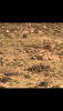 DE3B5E40-FD25-45C5-8395-230F41FC4958.png