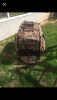 A010B5FB-6C25-4BED-AFB3-E0DB77327830.png