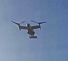 IMG_20141104_140133-1-1.jpg