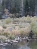 20181007_183128.jpg