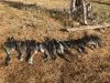 duck season 2018 (10).jpg