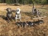 duck season 2018 (19).jpg