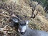 IMG_1173.jpg