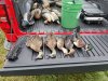20181007_124116.jpg