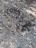 20181018_090002.jpg