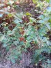 20181018_211548.jpg