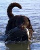 IMG_0475.jpg
