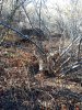 20181025_164620.jpg