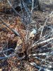 20181025_113719.jpg