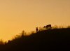 IMG_7563.jpg