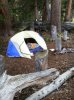 UT tent.JPG