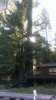 IMAG0502.jpg