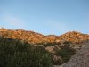 IMG_0935.JPG