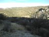 IMG_20181104_070850.jpg