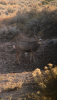 D27249D8-DED3-4630-A4DF-5659AEBEC56A.png