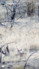 245AECFA-8723-4326-AAEC-88ECC9E3E37E.png