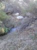 IMG_20181104_084746.jpg