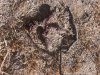 thumbnail_20181103_151103.jpg