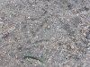 thumbnail_20181103_152945.jpg