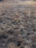 thumbnail_20181103_144514.jpg