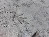 20181110_160550.jpg