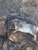 20181110_150633.jpg