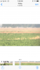48754A7E-DCB4-40F4-967E-2F603ECFF28B.png